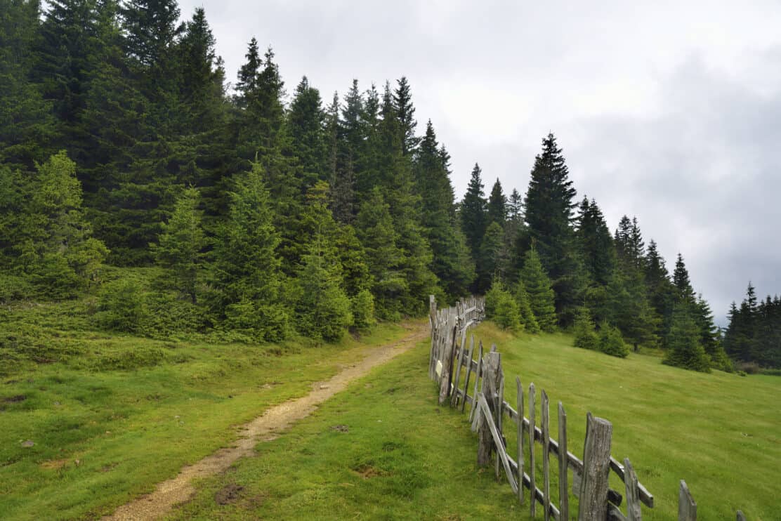 stara-planina-mountain-view-bulgaria